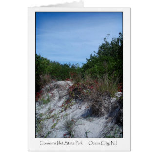 Corsons inlet State Park Hälsningskort