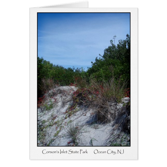 Corsons inlet State Park Hälsningskort (Framsidan)