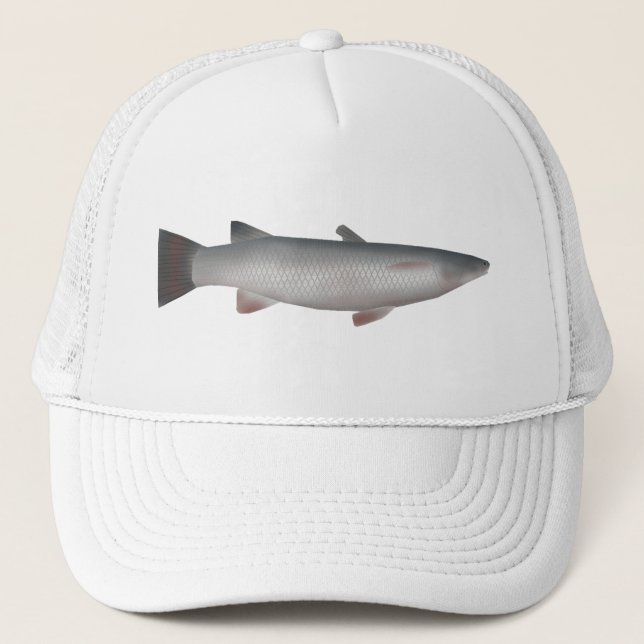 Corsula Keps (Framsida)