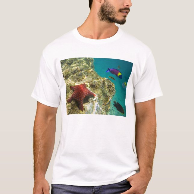 Cortez-regnbågsfisk hane och hona och hav t-shirt (Framsida)