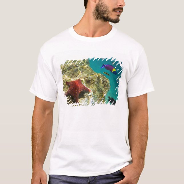 Cortez-regnbågslabb hane och hona och hav tee shirt (Framsida)