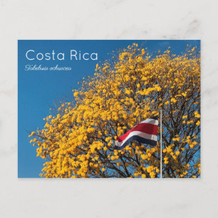 Corteza amarilla Costa Rica Vykort