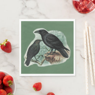 Corvids - Blackbird Raven Pappersservett