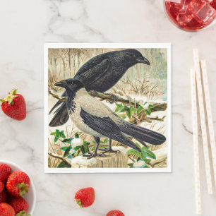 Corvids - Blackbird Raven Pappersservett