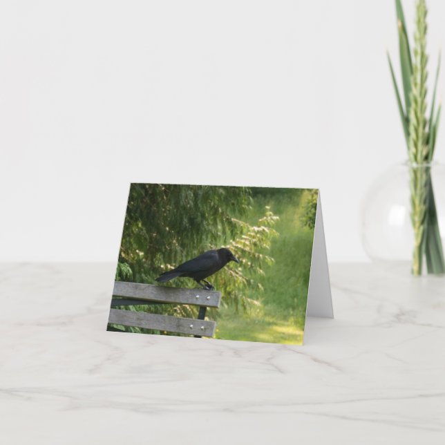 Corvus brachyrhynchos, amerikansk Kråka Kort (Framsida)