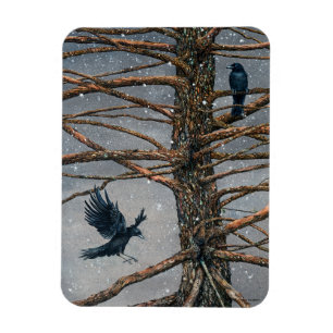 Corvus Corvidae och Cedar Magnet