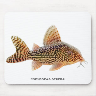 Corydoras Sterbai havskatt Mousepad Musmatta