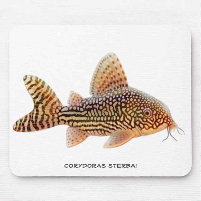 Corydoras Sterbai havskatt Mousepad Musmatta (Framsidan)