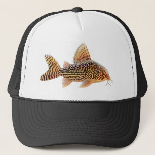 Corydoras Sterbai havskatthatt Truckerkeps