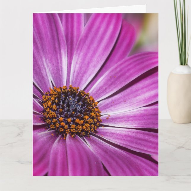 COSMEA LILA FLOWER BIRTHDAY OVERSIZED CARD KORT (Framsida)