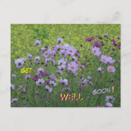 Cosmea & Rapsfält Snart Bättre Postkort Vykort