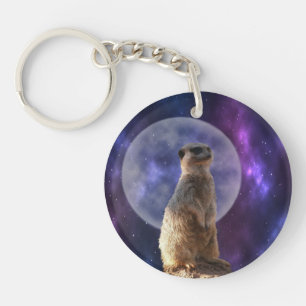 Cosmic Sentinel: Meerkat under hela månen