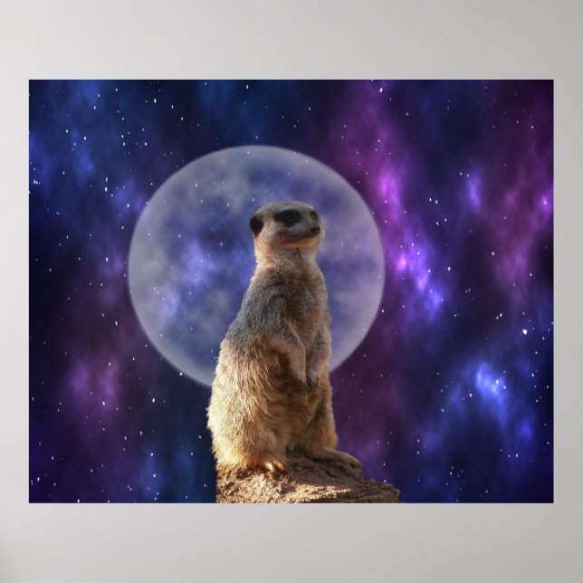Cosmic Sentinel: Meerkat under hela månen Poster (Framsidan)