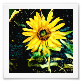 Cosmic Solros Original-fotografi av slrussell Fototryck