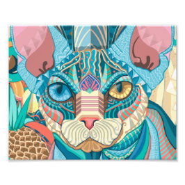 Cosmic Sphynx Cat Fototryck