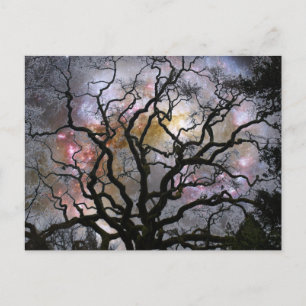 Cosmic Träd - kolliderande Galaxies Vykort
