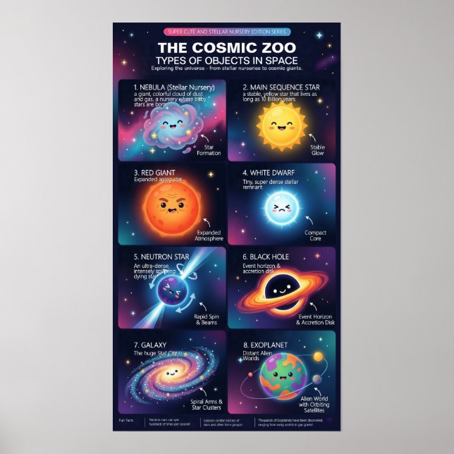 Cosmic Zoo Space Objects Astronomy Infographic Poster (Framsidan)