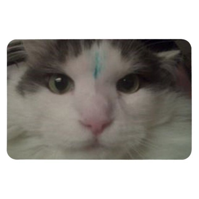 Cosmo 3 Anpassningsbar Magnet (Horisontell)