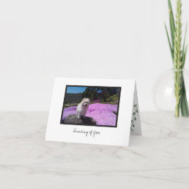 Cosmo #4 Blankt anteckningskort