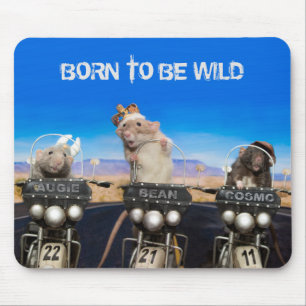 Cosmo, Augie och Bean - Born är Vild Musmatta