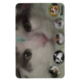 Cosmo Collage-fotomagnet Magnet