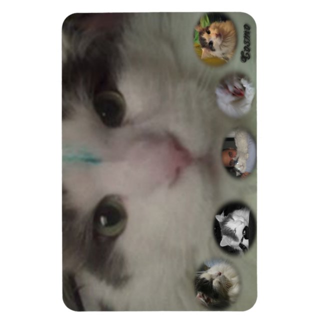 Cosmo Collage-fotomagnet Magnet (Vertikal)