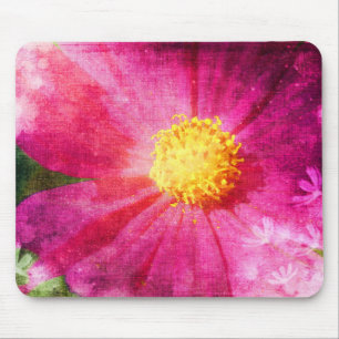 Cosmo Flower Musmatta