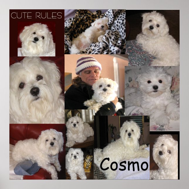 Cosmo Poster efter lin (Framsidan)