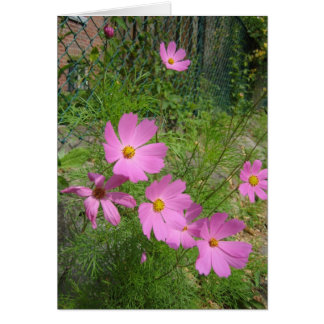 cosmokort hälsningskort