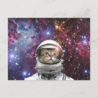 Cosmonaut-katt