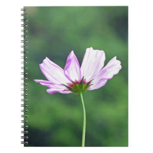 Cosmos Anteckningsbok Med Spiral