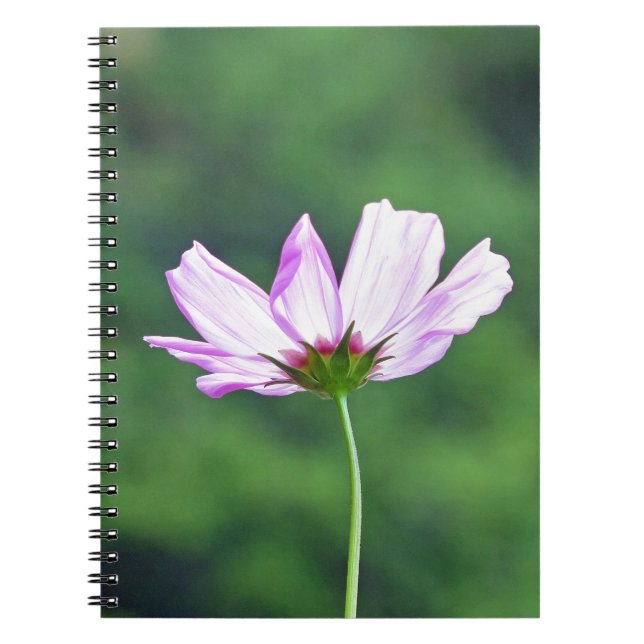 Cosmos Anteckningsbok Med Spiral (Framsidan)