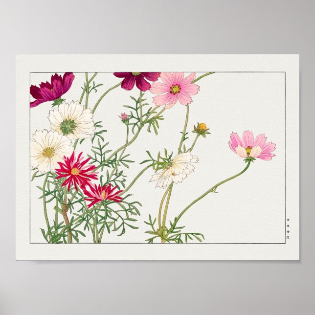 Cosmos av Tanigami Konan Poster (Framsidan)