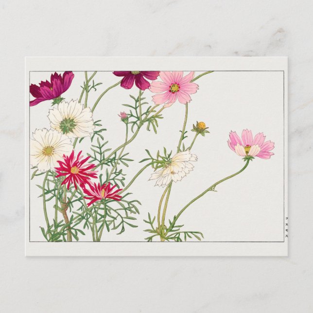 Cosmos av Tanigami Konan Vykort (Framsida)