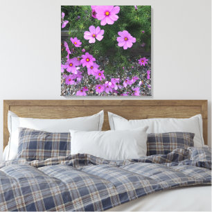 Cosmos blommor med småsten på en canvastryck