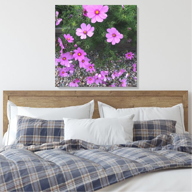 Cosmos blommor med småsten på en canvastryck (Insitu (sovrum))