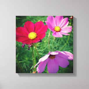 Cosmos Blomster Trio Canvastryck
