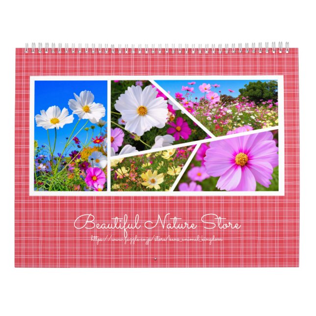 Cosmos Calendar Kalender (Baksida)