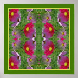 Cosmos Daisy Flowers Spegel Abstrakt Natature Poster