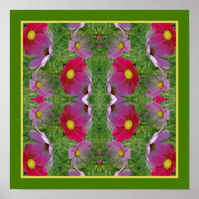 Cosmos Daisy Flowers Spegel Abstrakt Natature Poster (Framsidan)