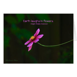 Cosmos:Earth Laughs in Flowers Hälsningskort