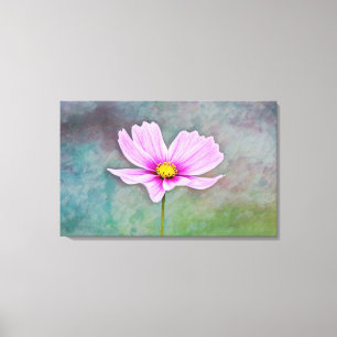 Cosmos Flower in Rosa Photographic Art Canvastryck