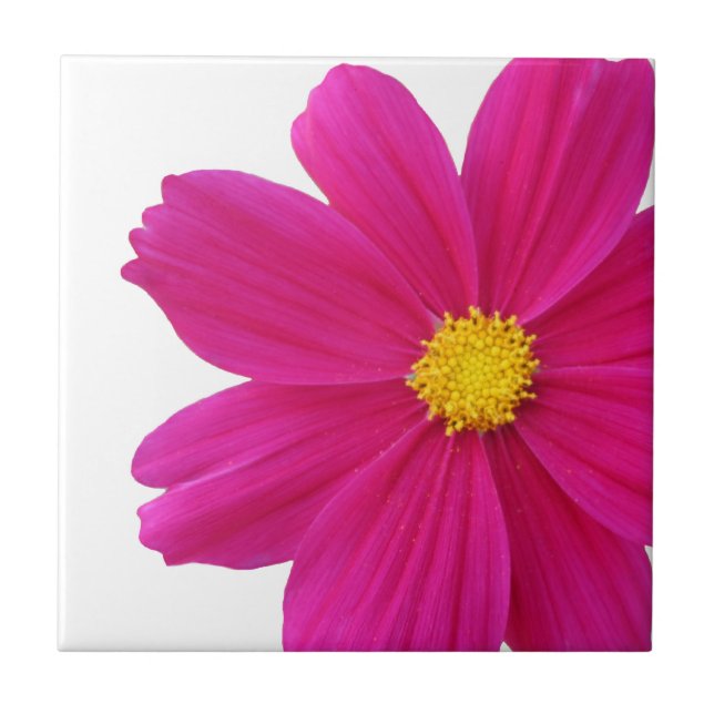 Cosmos Flower Tile Kakelplatta (Framsidan)