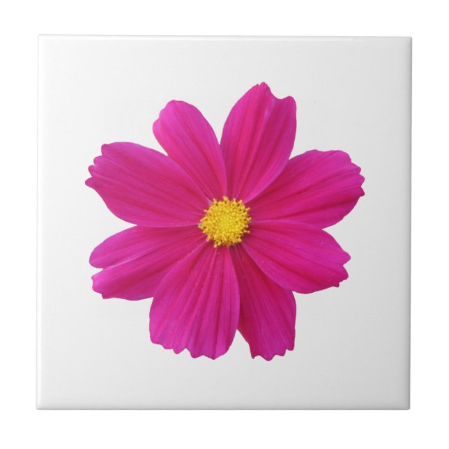 Cosmos Flower Tile Kakelplatta (Framsidan)