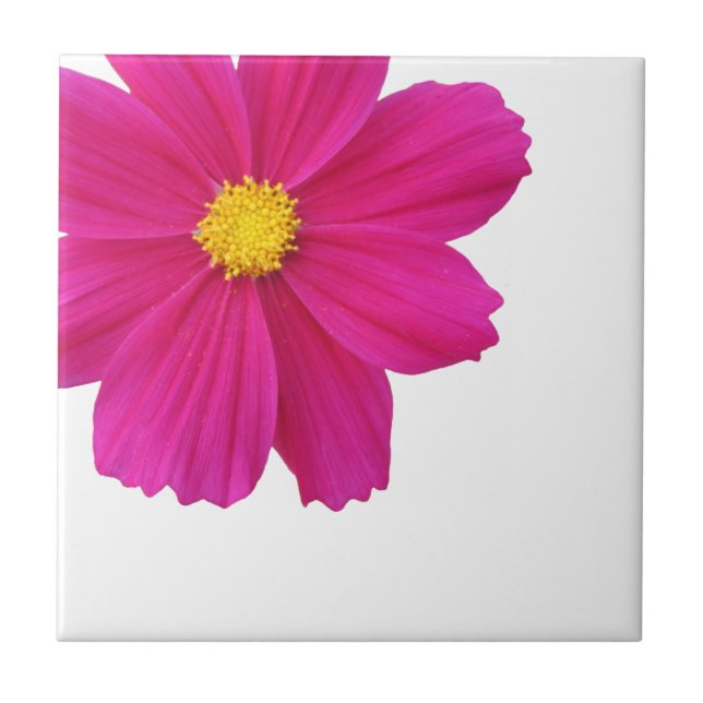 Cosmos Flower Tile Kakelplatta (Framsidan)