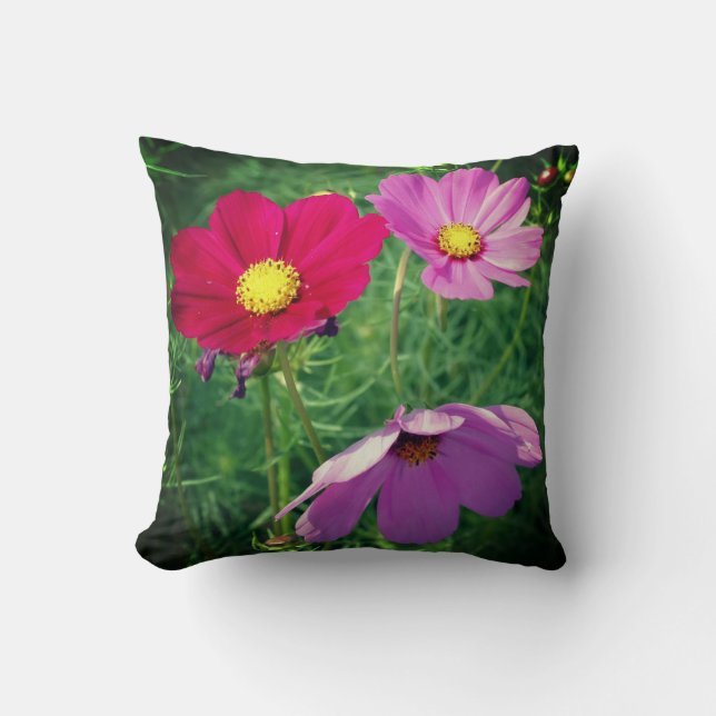 Cosmos Flower Trio Kudde (Framsida)