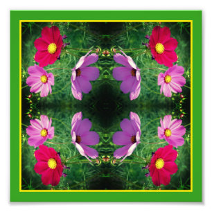 Cosmos Flower Trio Spegel Abstrakt 8x8 Fototryck