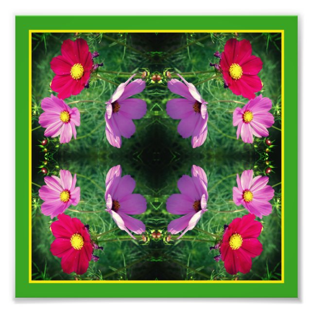 Cosmos Flower Trio Spegel Abstrakt 8x8 Fototryck (Framsidan)