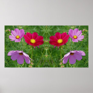 Cosmos Flower Trio Spegel Abstrakt Poster