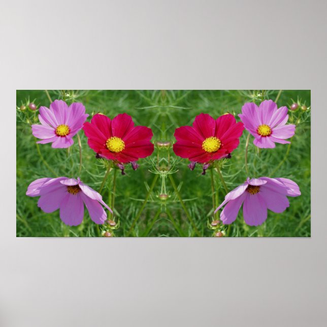 Cosmos Flower Trio Spegel Abstrakt Poster (Framsidan)